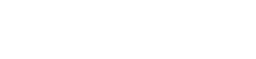 在线ddos网页端软件